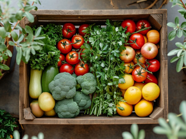 Créer un potager bio à la maison : de la graine à l'assiette