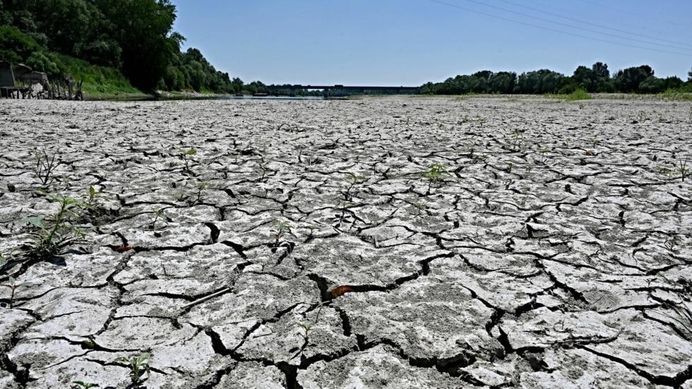 Une terre sèche 