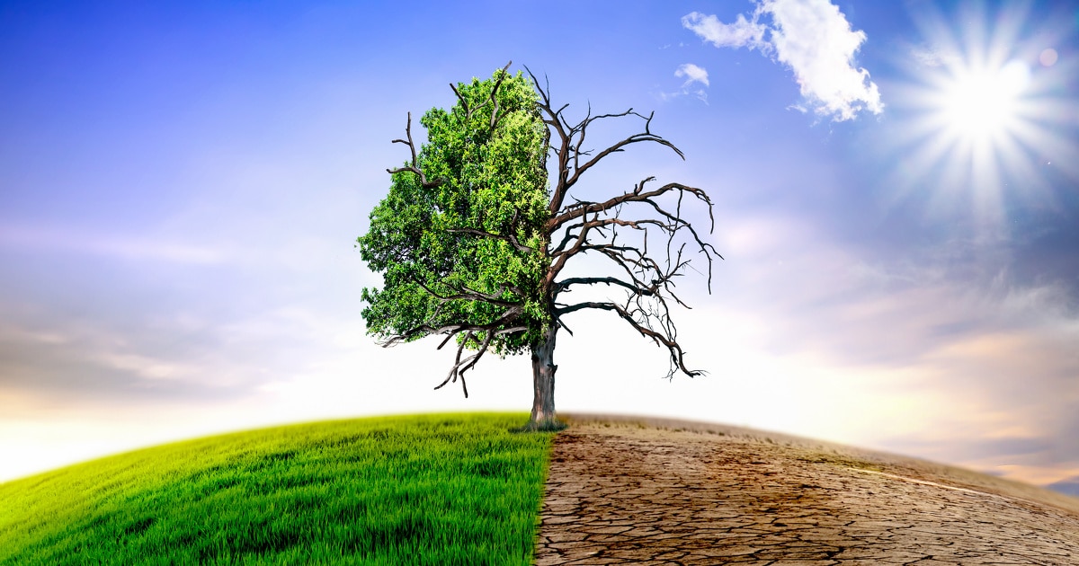 Changement climatique 