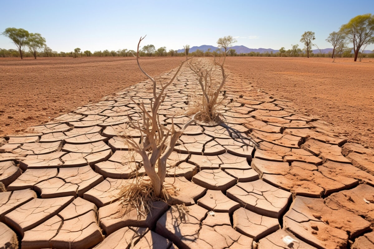La sècheresse de la terre