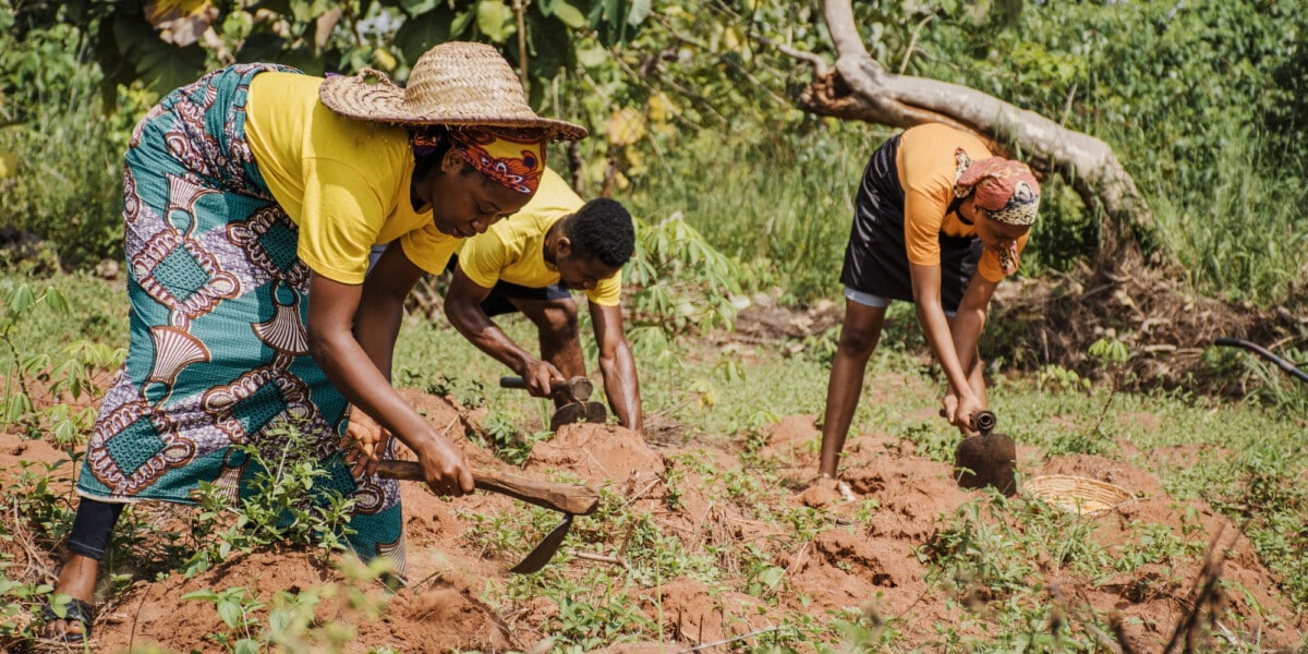 Des femmes africaines au champ