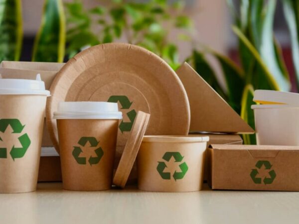emballage eco responsable raisons adopter packaging ecologique