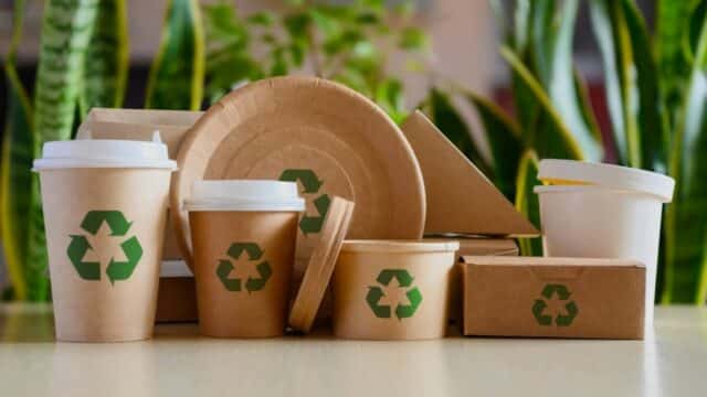 emballage eco responsable raisons adopter packaging ecologique