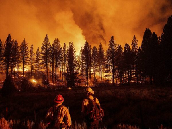 Les scientifiques examinent le feu