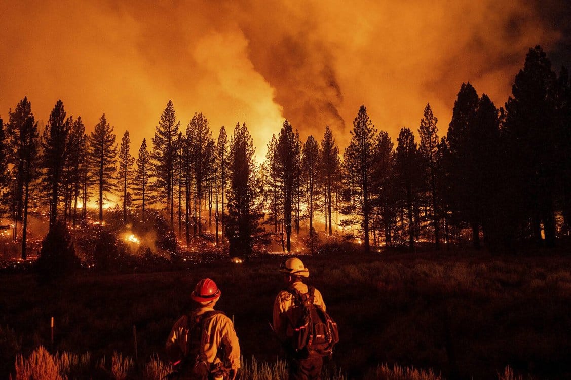 Les scientifiques examinent le feu