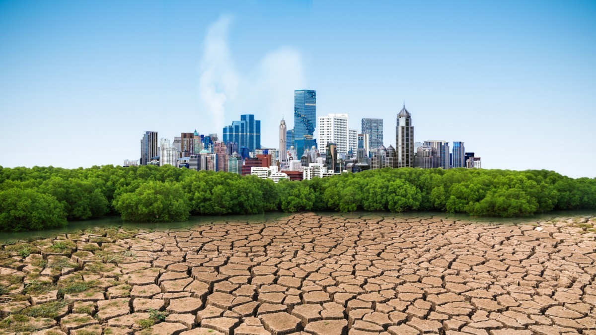 Changement climatique et économie