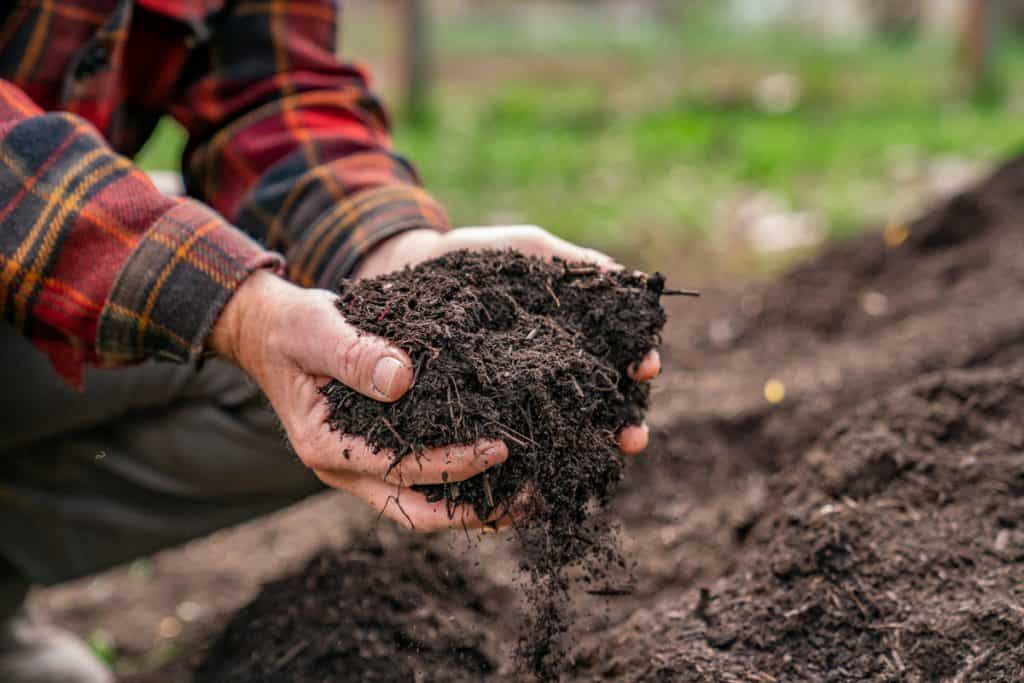 Compost