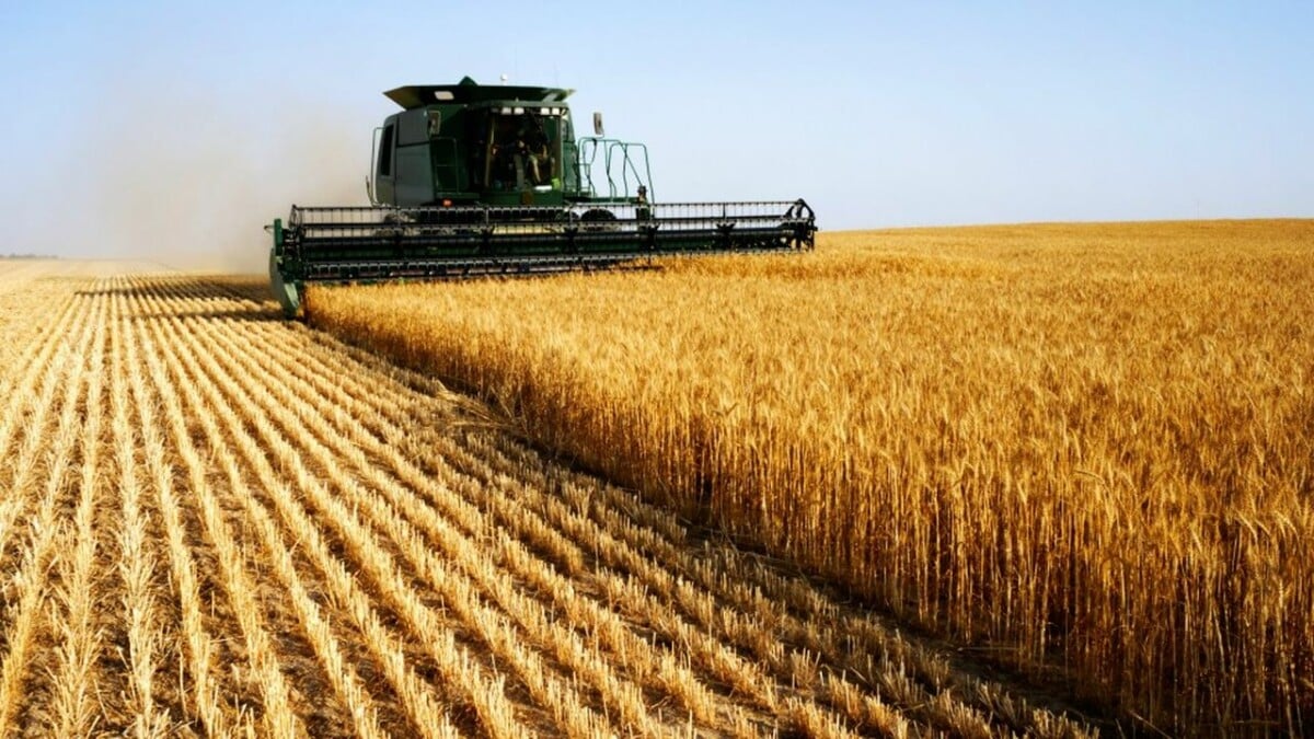 Agriculture