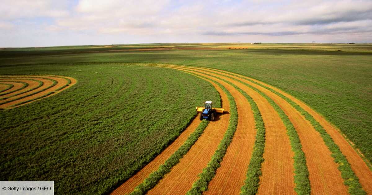 Agriculture intensive