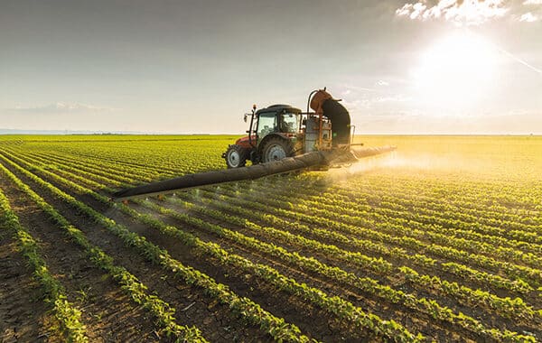 Agriculture marocaine