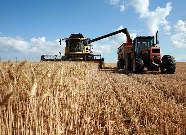 Agriculture intensive