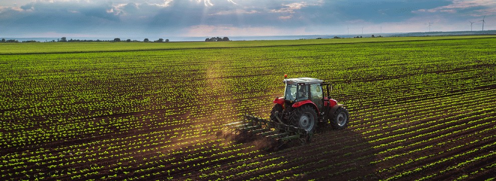 Agriculture