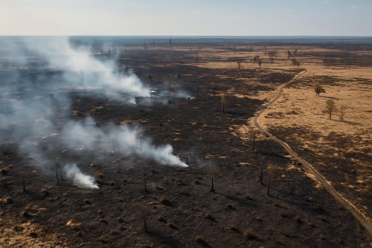 un incendie majeur dévaste 2 700 hectares de tourbe dans les fagnes en belgique, un feu difficile à maîtriser qui cause d'importants dégâts environnementaux.