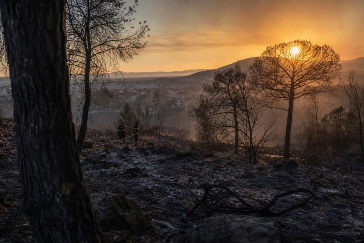découvrez l'importance d'une écologie enracinée face aux incendies, pour rétablir l'équilibre entre l'humain et la nature et agir avec urgence pour notre planète.