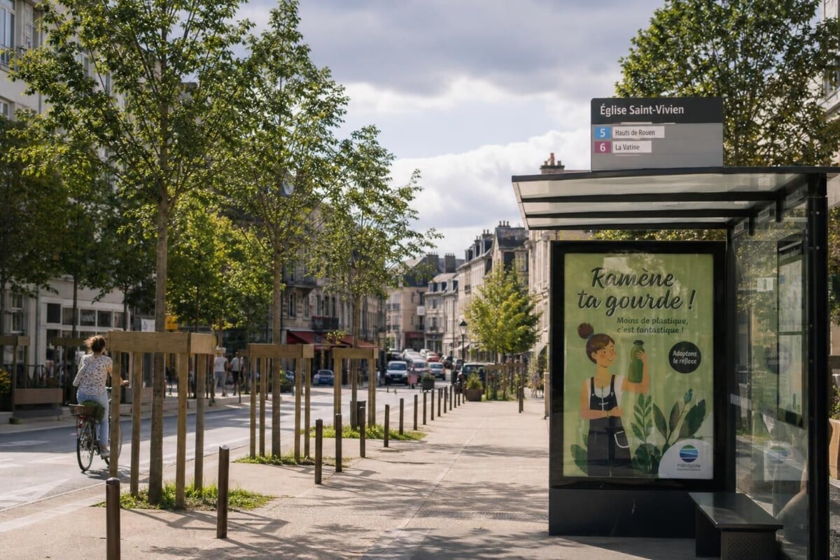 découvrez les dernières nouvelles et analyses approfondies sur l'écologie avec paris normandie, votre source d'information engagée pour un avenir durable.